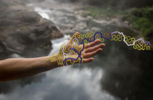 Prix Thinking Sustainability 2024© Ana Elisa Sotelo & Sadith Silvano, Portraits of the Multiverse