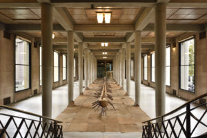Vue de l’exposition, Giuseppe Penone, Matrice di linfa, Palais d’Iéna, Octobre 2019. Crédit photo : Rebecca Fanuele © Palais d’Iéna, architecte Auguste Perret, UFSE, SAIF /Courtesy Archivio Penone et Marian Goodman Gallery, New York, Paris, London