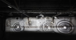 Jeremy-Maxwell-Wintrebert-©-Jeremy-Josselin