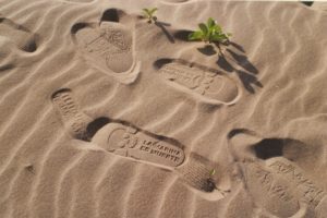 Allora & Calzadilla - Land Mark (Foot Prints) #12L