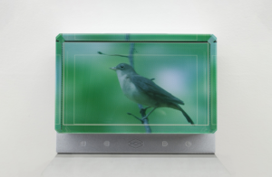 Deimantas Narkevi?ius