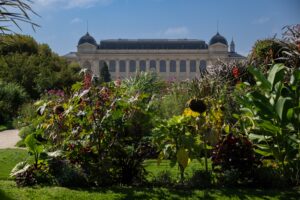 © MNHN - F-G Grandin