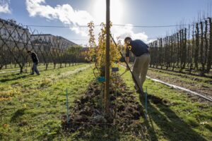 Potager jardiniers Ecole nationale supérieure de paysage (ENSP Versailles). Photo © Arnauld Duboys