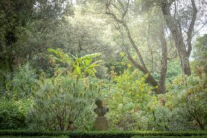 Jardin Serre de la Madone © Yann Monel